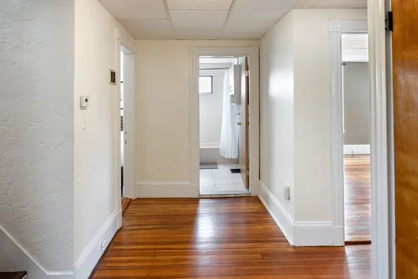 Coliving in Davis Square - Somerville, Boston