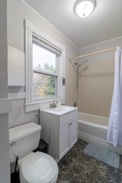 Coliving in Avon Hill - Cambridge, Boston