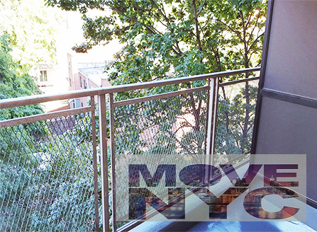 2 bedrooms apartment for rent in Morris Park - The Bronx, New York