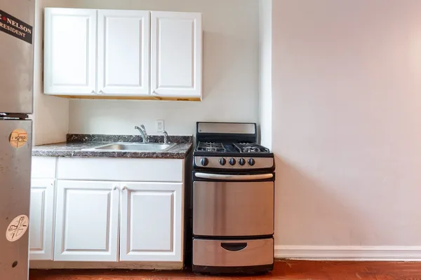 1 bedroom apartment for rent in Williamsburg - Brooklyn, New York