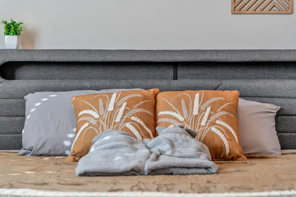 Coliving in Katy TX - West Houston, Houston