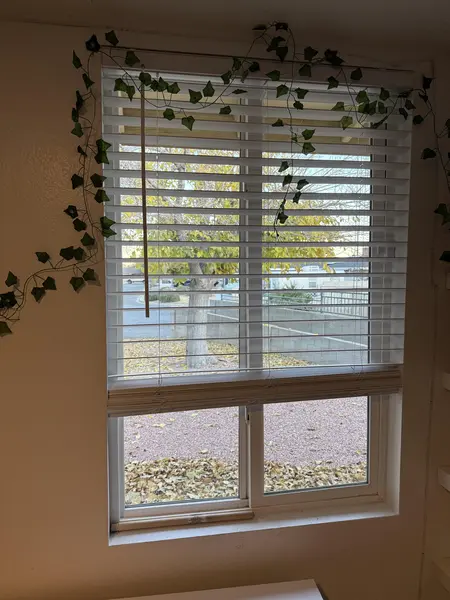 Coliving in Las Vegas - Las Vegas, Las Vegas