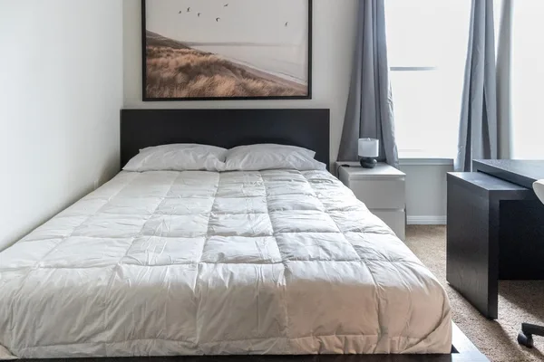 Coliving in Central East Austin - East Austin, Austin