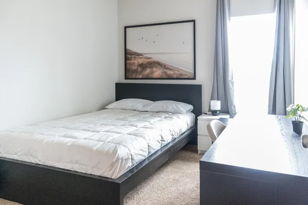 Coliving in Central East Austin - East Austin, Austin