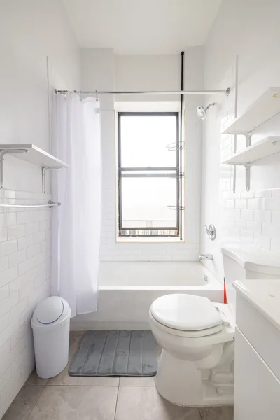 Coliving in Crown Heights - Brooklyn, New York