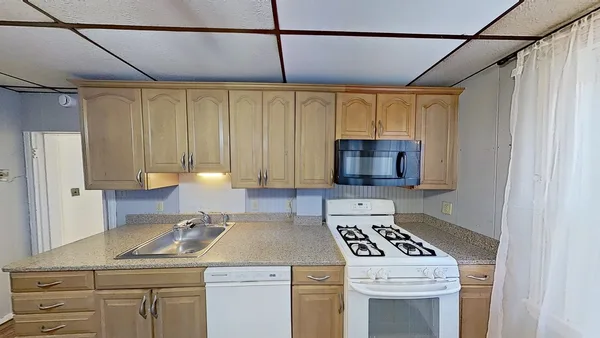 Coliving in Cambridgeport - Cambridge, Boston