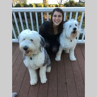 Looking for a roommate in Manhattan - New York