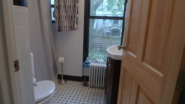 1 bedroom apartment for rent in Flatbush Ditmas Park - Brooklyn, New York