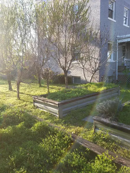 Coliving in Kingman Park - Washington Northeast, Washington DC