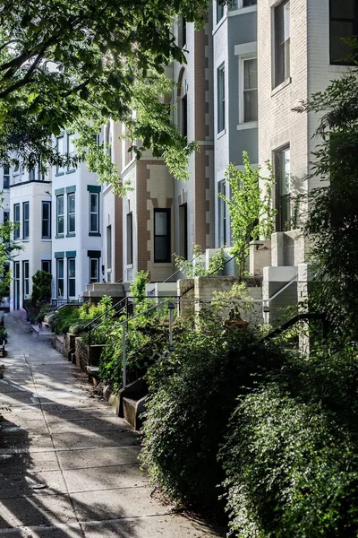 Coliving in Adams Morgan - Washington Northwest, Washington DC