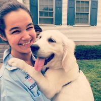 Looking for a roommate