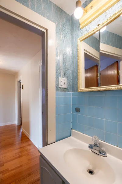 Coliving in Davis Square - Somerville, Boston