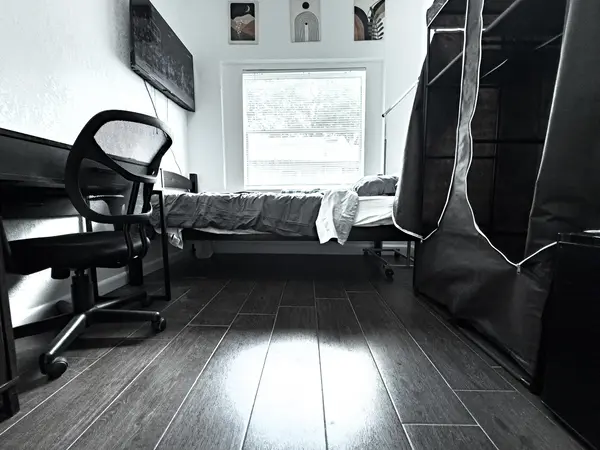 Coliving in Little Haiti - Miami, Miami