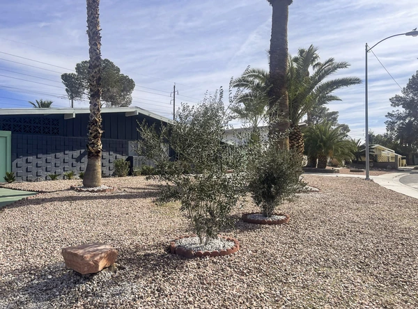 Coliving in Las Vegas - Las Vegas, Las Vegas