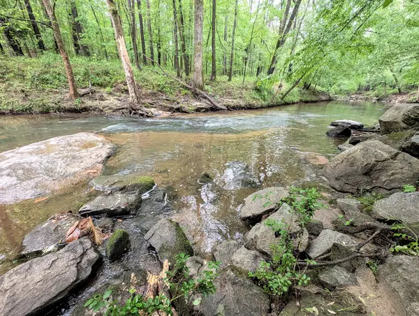 Coliving in Peyton Forest - West Atl, Atlanta