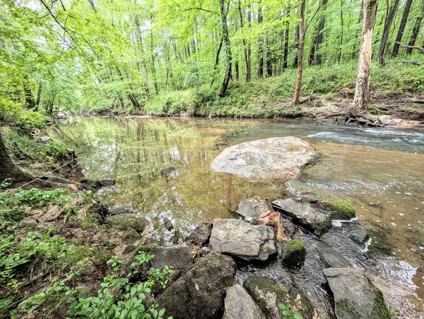 Coliving in Peyton Forest - West Atl, Atlanta