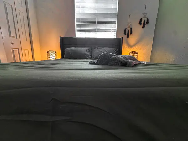 Coliving in Little Haiti - Miami, Miami