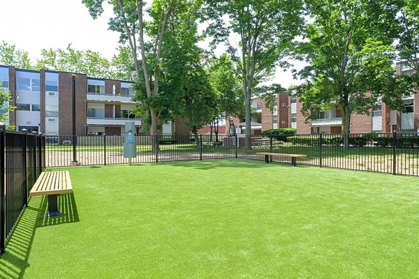 Coliving in Allston - Boston, Boston