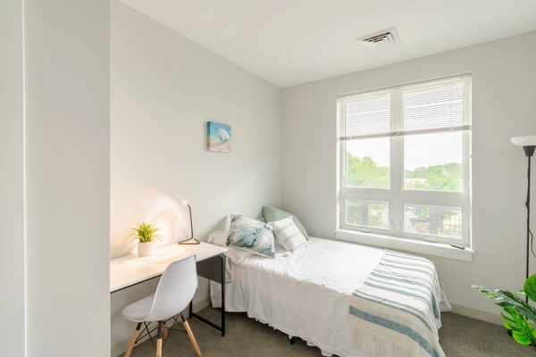 Coliving in Brighton - Boston, Boston