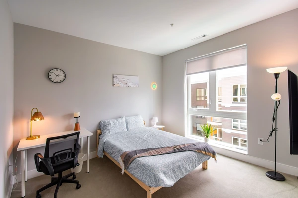 Coliving in Inner Belt - Somerville, Boston