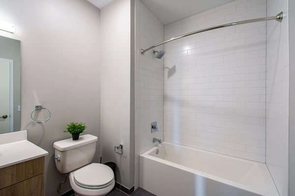 Coliving in Inner Belt - Somerville, Boston