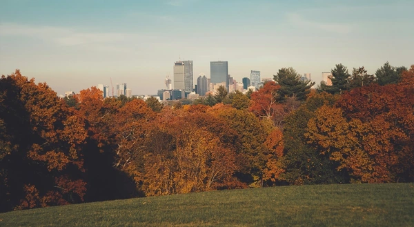 Coliving in Brookline - Metro Area, Boston