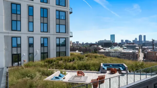 Coliving in Inner Belt - Somerville, Boston