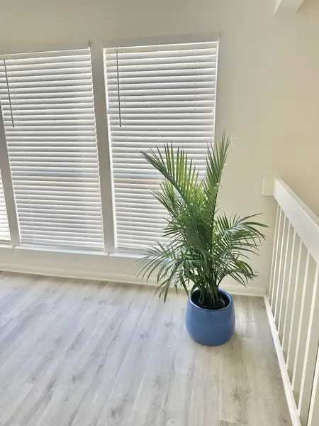 Coliving in Greater Fondren Southwest - Sw Houston, Houston