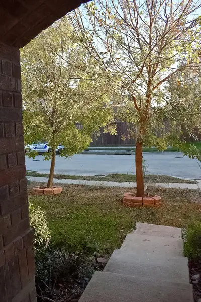 Coliving in North Fort Worth - Forth Worth, Dallas