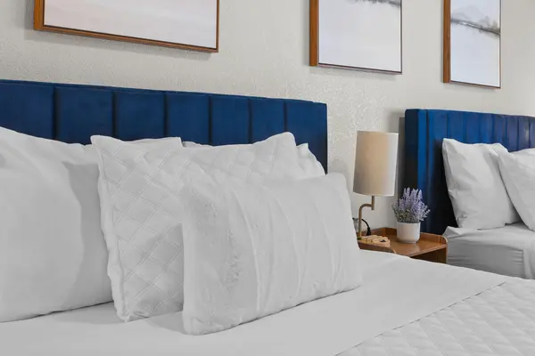 Coliving in North Las Vegas - North Las Vegas, Las Vegas