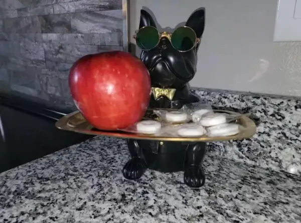 Coliving in Belmont NC - West Charlotte, Charlotte