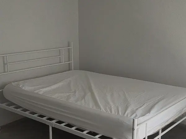 Coliving in Spring - Ne Houston, Houston