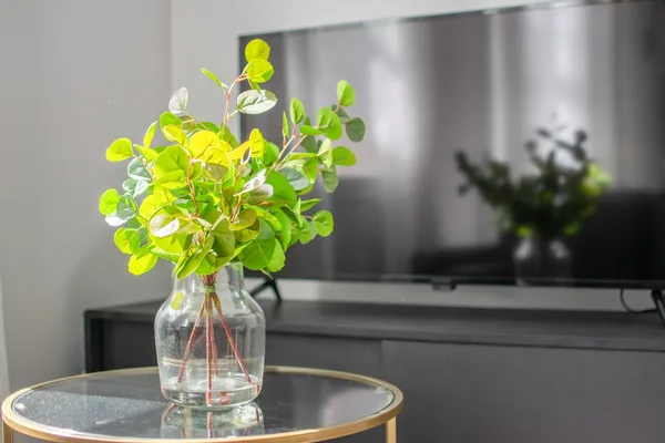 Coliving in North End - Boston, Boston