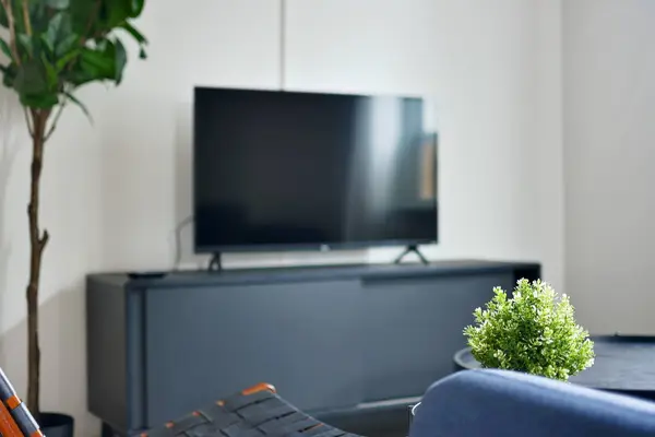 Coliving in Allston - Boston, Boston