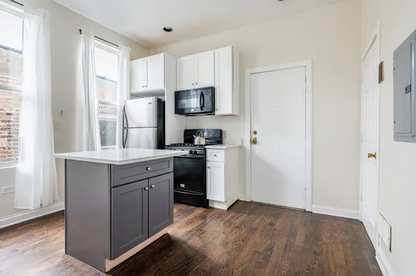 3 bedrooms apartment for rent in Ukrainian Village - West Side, Chicago