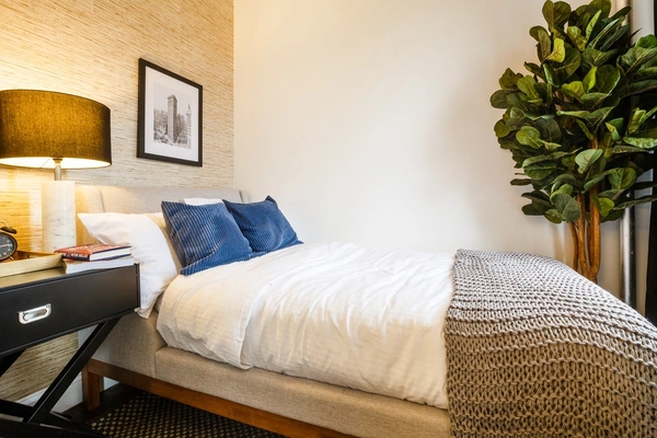 Coliving in Prospect Heights - Brooklyn, New York