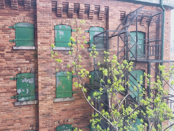 Coliving in Old town - Downtown TO, Toronto