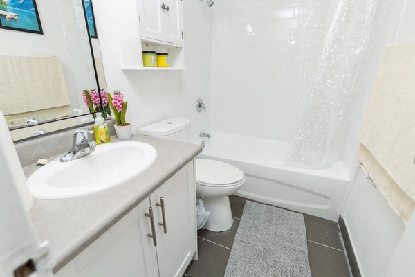 Coliving in Don Valley - Toronto, Toronto