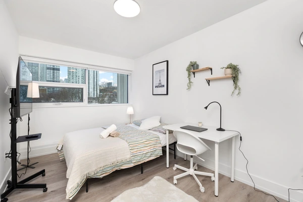 Coliving in Old town - Downtown TO, Toronto