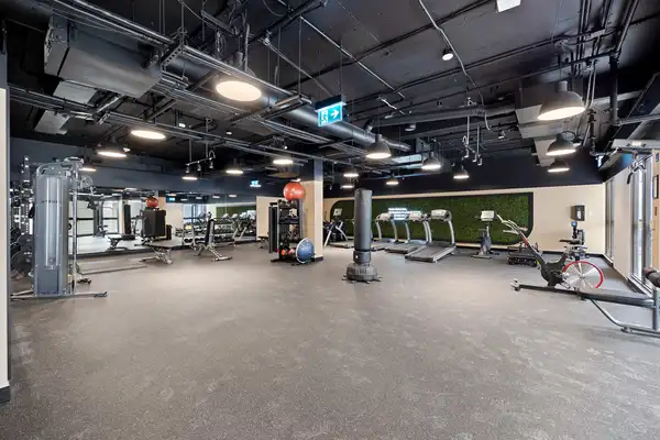 Coliving in Old town - Downtown TO, Toronto