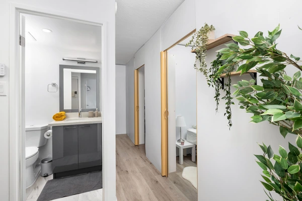 Coliving in Old town - Downtown TO, Toronto