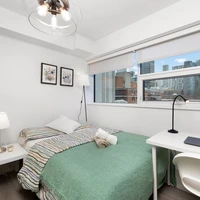 Coliving in Old town - Downtown TO, Toronto