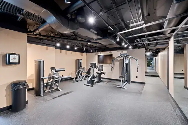 Coliving in Old town - Downtown TO, Toronto