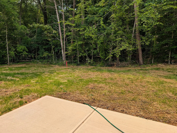 Coliving in West Sugar Creek - North Charlotte, Charlotte