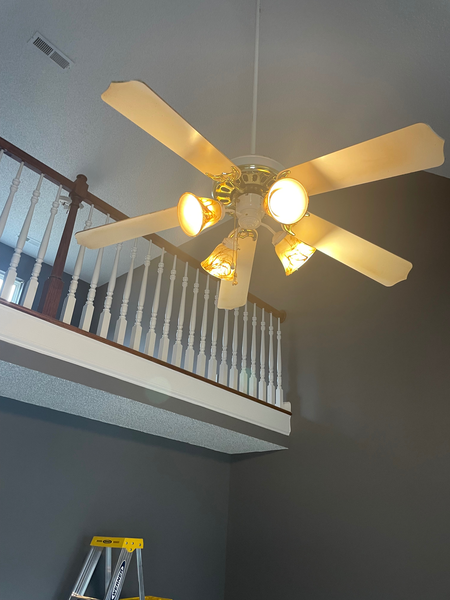 Coliving in Idlewild South - East Charlotte, Charlotte