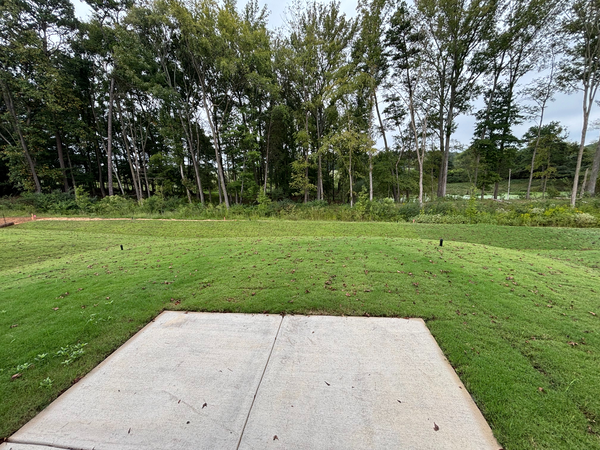 Coliving in Monroe - East Charlotte, Charlotte