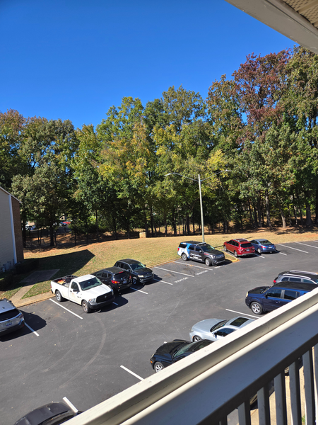 Coliving in College Downs - North Charlotte, Charlotte
