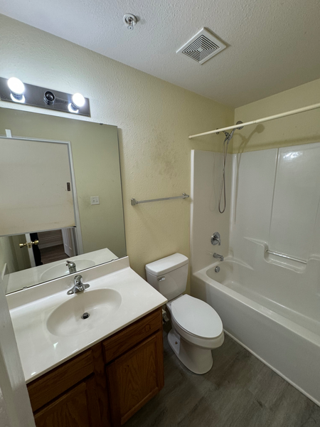 Coliving in Shannon Park - East Charlotte, Charlotte