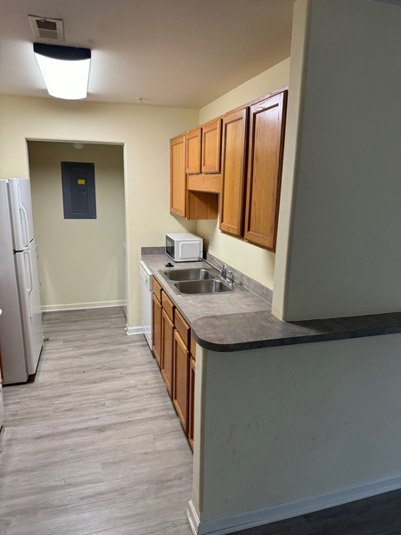 Coliving in Shannon Park - East Charlotte, Charlotte