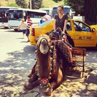 Looking for a roommate in Manhattan - New York